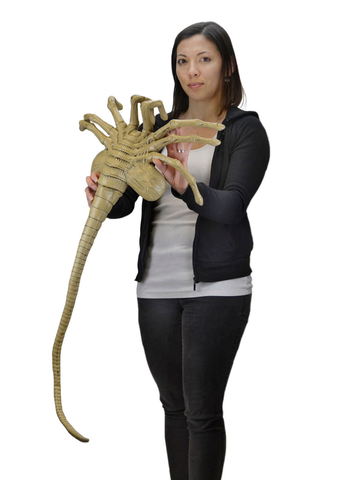 BUY ALIEN - LIFE-SIZE FACEHUGGER FOAM PROP REPLICA | NECA ONLINE AU