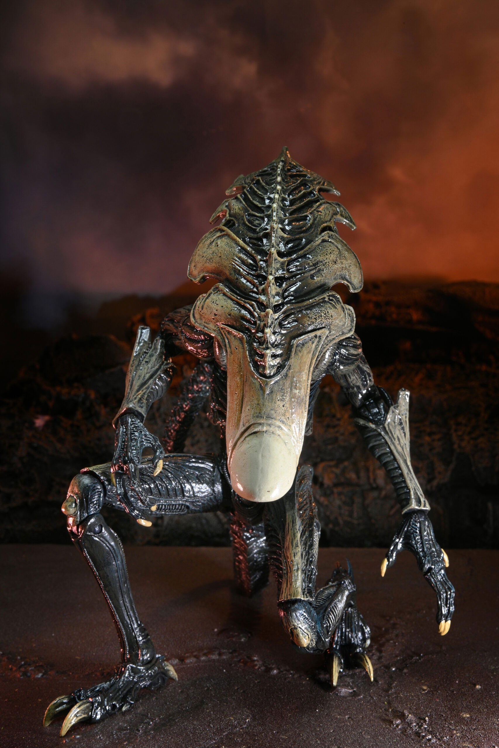 BUY ALIEN VS PREDATOR - CHRYSALIS ALIEN 7" ACTION FIGURE | NECA ONLINE AU