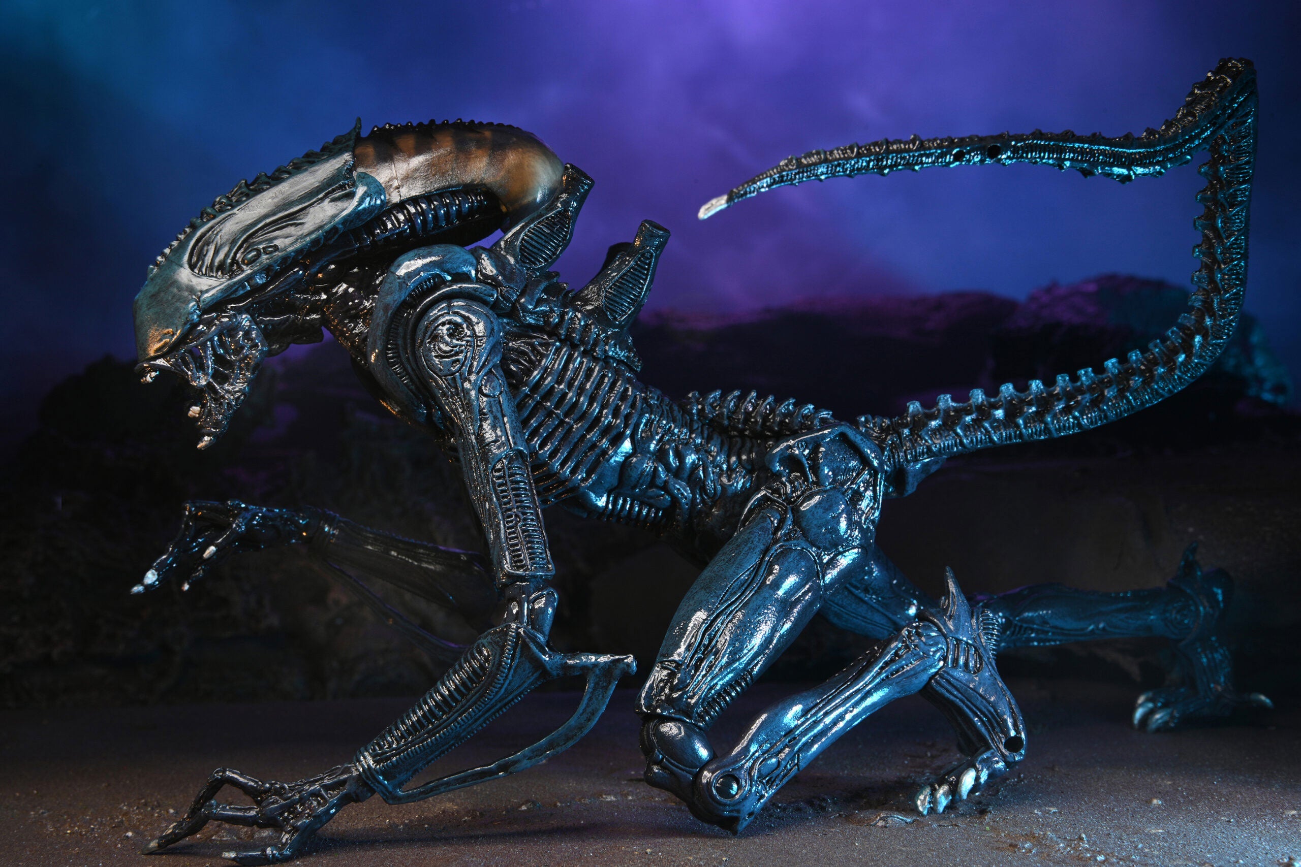 BUY ALIEN VS PREDATOR - ALIENS ARACHNOID 7" ACTION FIGURE | NECA ONLINE AU