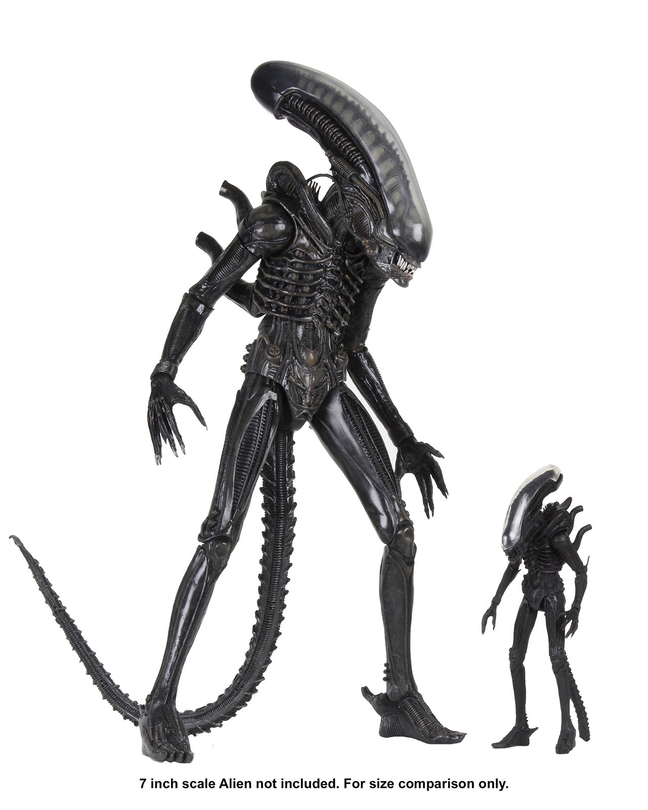 BUY NOW - ALIENS 40TH ANNIVERSARY BIG CHAP 1/4 SCALE ACTION FIGURE | NECAONLINE.COM.AU