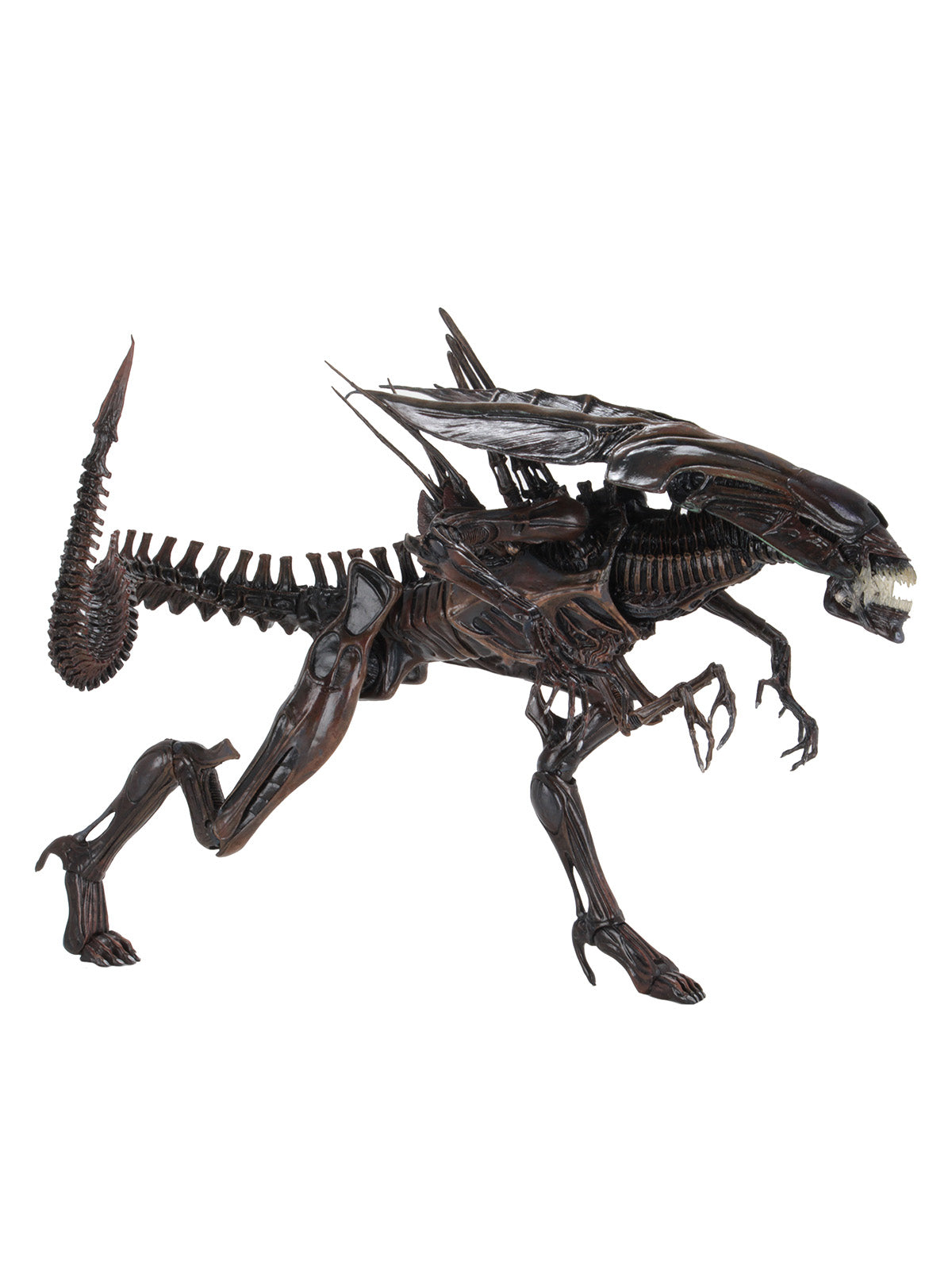 BUY NOW - ALIEN RESURRECTION DELUXE QUEEN – ULTRA DELUXE BOXED FIGURE | NECAONLINE.COM.AU