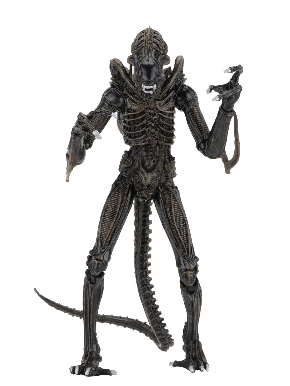 BUY NOW - ALIENS ULTIMATE ALIENS WARRIOR (1986) BROWN – 7″ SCALE ACTION FIGURE | NECAONLINE.COM.AU