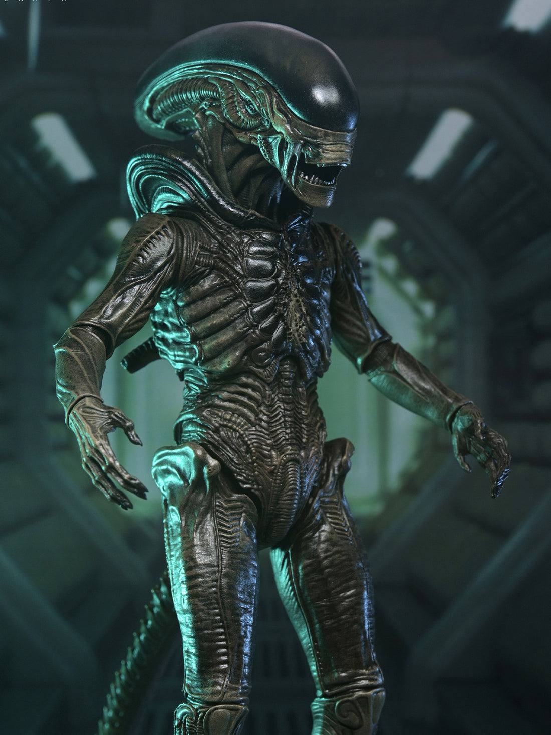 BUY NOW - ALIEN EARTH - ULTIMATE XENOMORPH 7" SCALE ACTION FIGURE | NECAONLINE.COM.AU