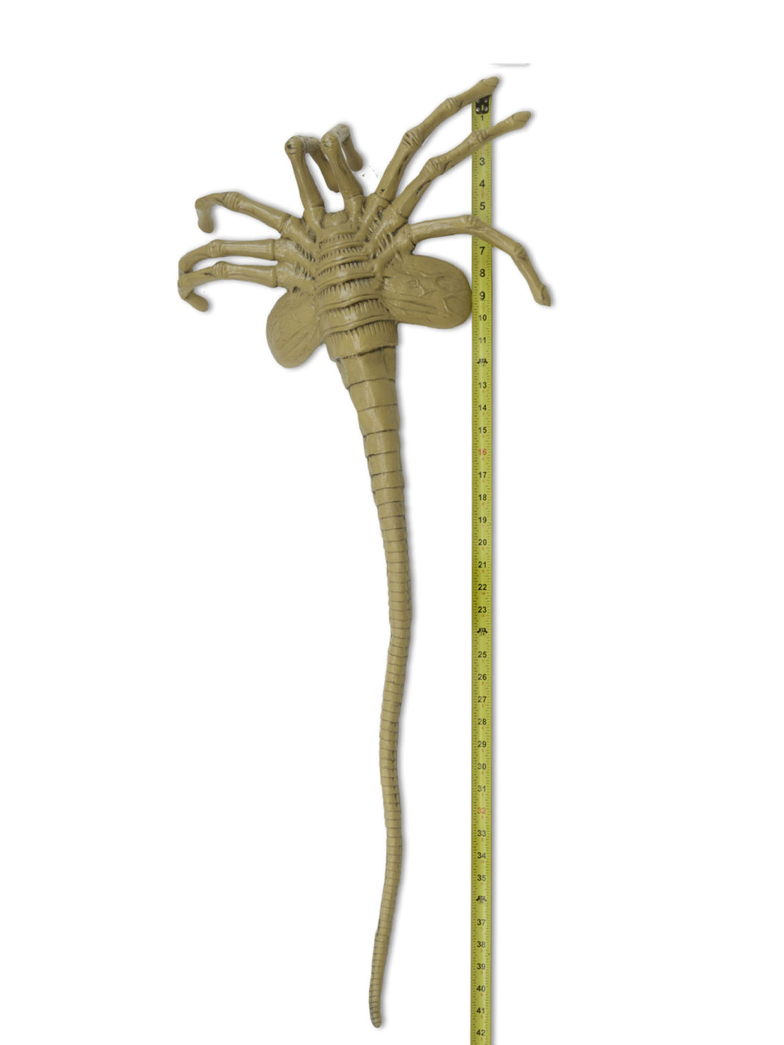 BUY ALIEN - LIFE-SIZE FACEHUGGER FOAM PROP REPLICA | NECA ONLINE AU  