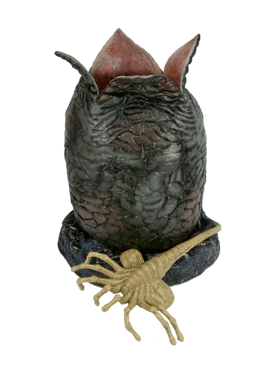 BUY ALIEN - LIFE-SIZE EGG AND FACEHUGGER FOAM REPLICA | NECA ONLINE AU