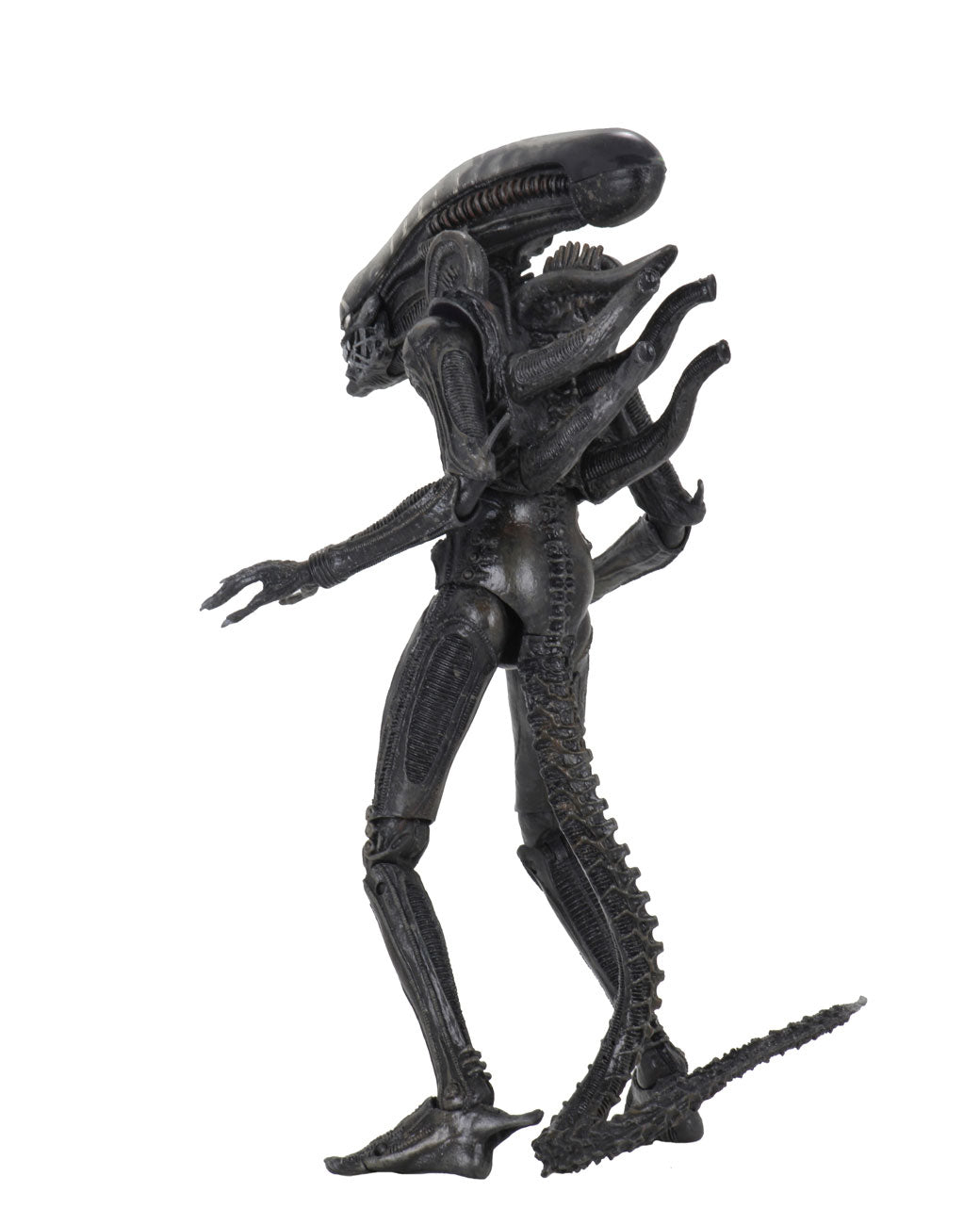 ALIENS - 40TH ANNIVERSARY BIG CHAP 7&quot; ACTION FIGURE  | NECA ONLINE AU