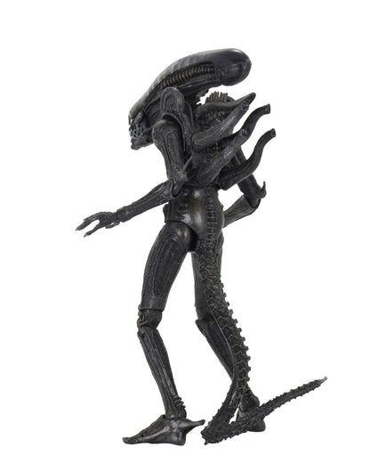 ALIENS - 40TH ANNIVERSARY BIG CHAP 7&quot; ACTION FIGURE  | NECA ONLINE AU