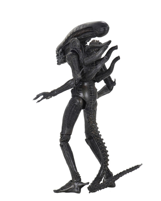 ALIENS - 40TH ANNIVERSARY BIG CHAP 7
