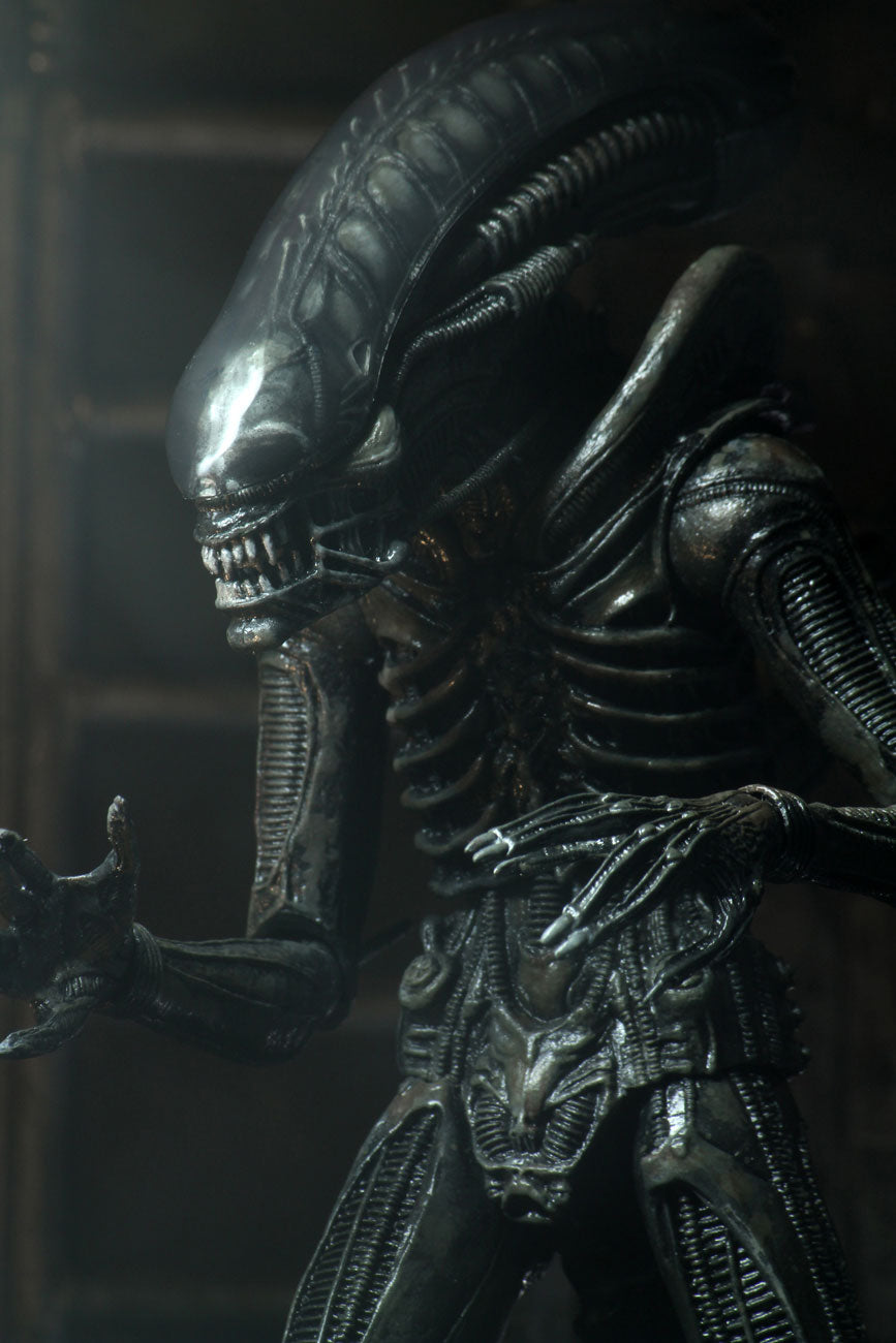 ALIENS - 40TH ANNIVERSARY BIG CHAP 7&quot; ACTION FIGURE  | NECA ONLINE AU