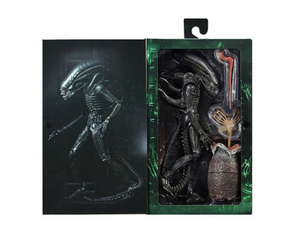 ALIENS - 40TH ANNIVERSARY BIG CHAP 7&quot; ACTION FIGURE  | NECA ONLINE AU