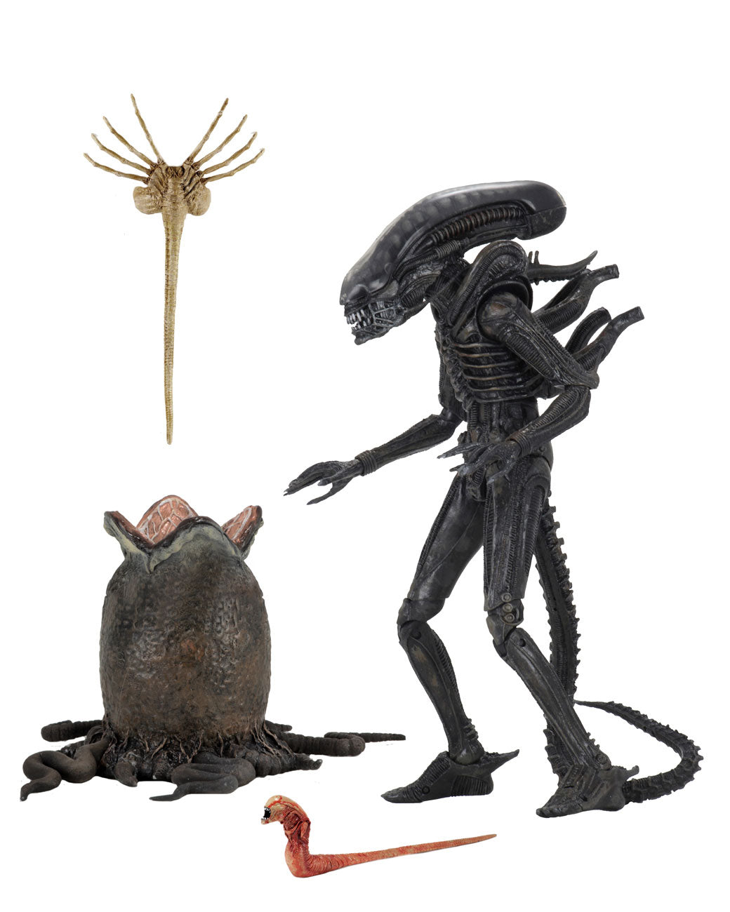 ALIENS - 40TH ANNIVERSARY BIG CHAP 7&quot; ACTION FIGURE  | NECA ONLINE AU