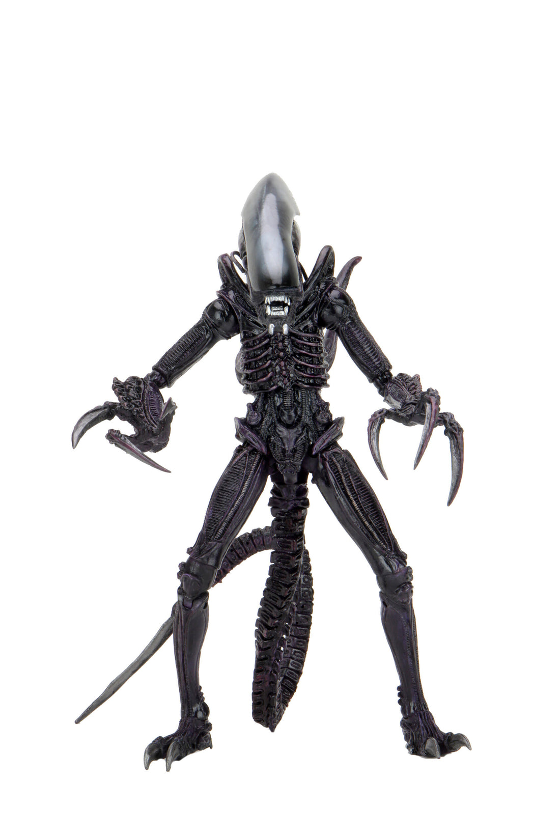 BUY ALIEN VS PREDATOR - RAZOR CLAWS 7" ACTION FIGURE | NECA ONLINE AU