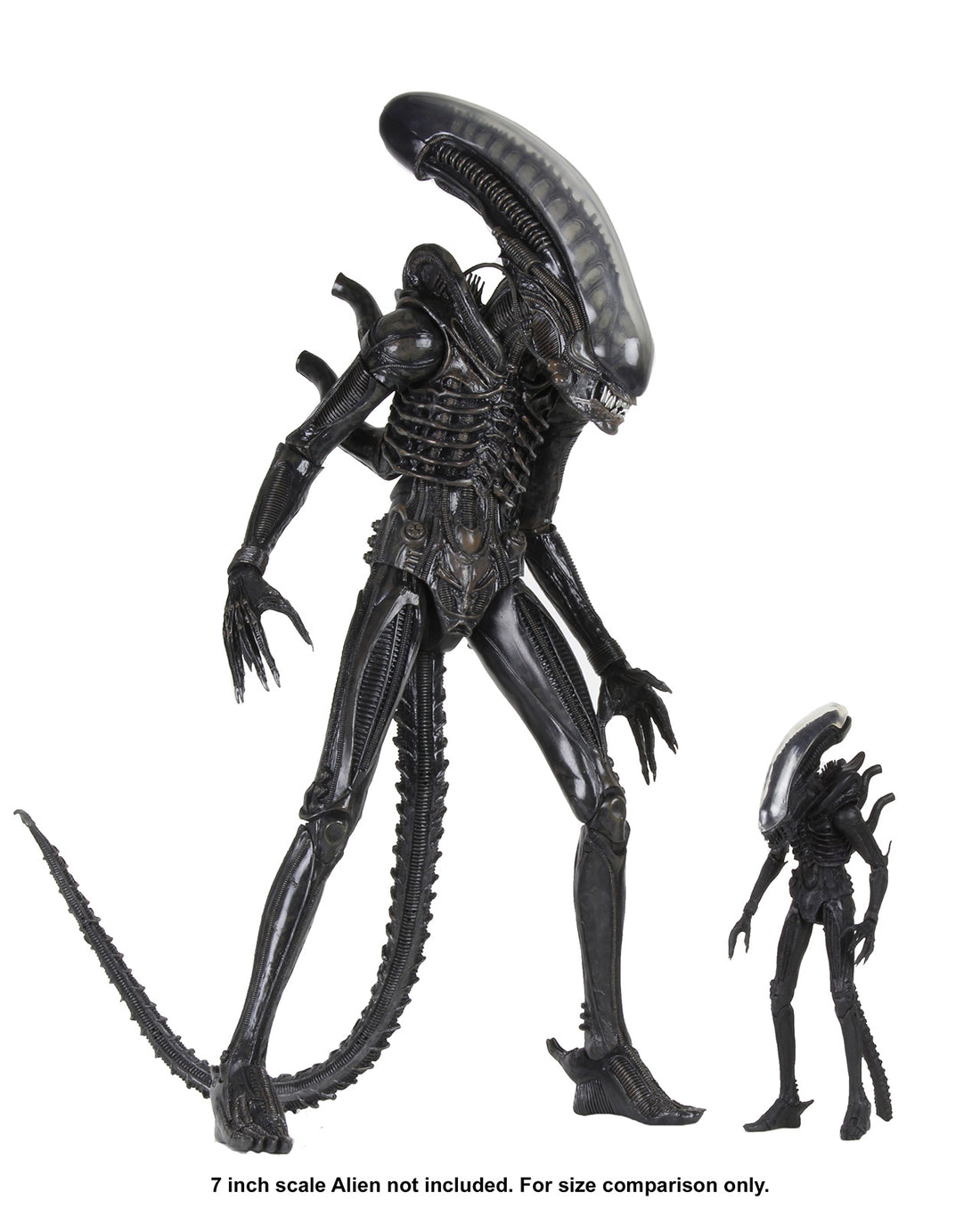 BUY NOW - ALIENS 40TH ANNIVERSARY BIG CHAP 1/4 SCALE ACTION FIGURE | NECAONLINE.COM.AU