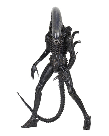 BUY NOW - ALIENS 40TH ANNIVERSARY BIG CHAP 1/4 SCALE ACTION FIGURE | NECAONLINE.COM.AU