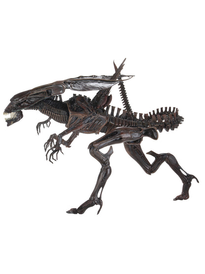 BUY NOW - ALIEN RESURRECTION DELUXE QUEEN – ULTRA DELUXE BOXED FIGURE | NECAONLINE.COM.AU