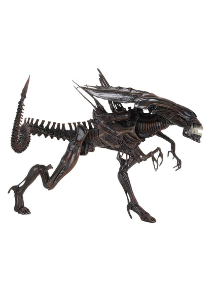 BUY NOW - ALIEN RESURRECTION DELUXE QUEEN – ULTRA DELUXE BOXED FIGURE | NECAONLINE.COM.AU
