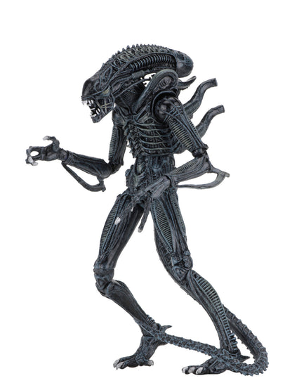 BUY NOW - ALIENS ULTIMATE ALIENS WARRIOR (1986) BLUE – 7″ SCALE ACTION FIGURE | NECAONLINE.COM.AU