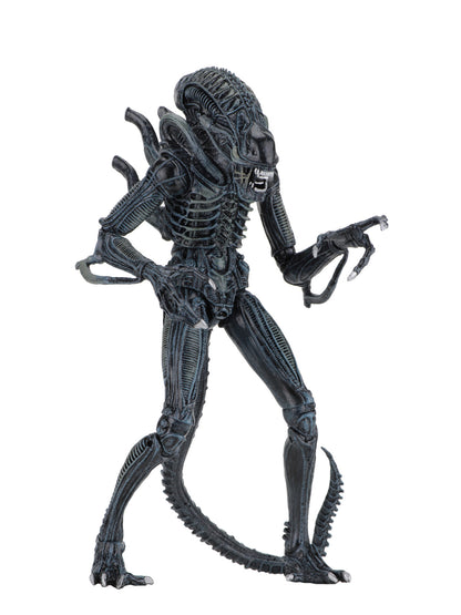 BUY NOW - ALIENS ULTIMATE ALIENS WARRIOR (1986) BLUE – 7″ SCALE ACTION FIGURE | NECAONLINE.COM.AU