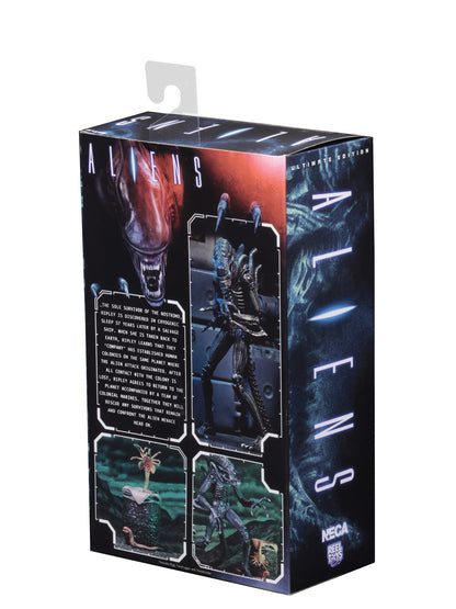 BUY NOW - ALIENS ULTIMATE ALIENS WARRIOR (1986) BLUE – 7″ SCALE ACTION FIGURE | NECAONLINE.COM.AU
