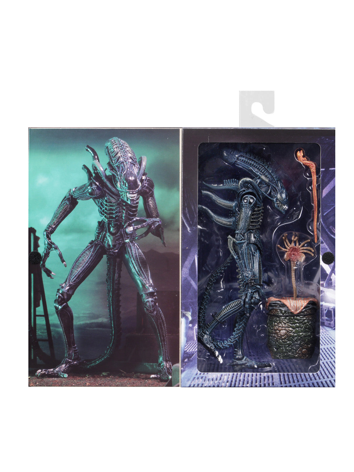 BUY NOW - ALIENS ULTIMATE ALIENS WARRIOR (1986) BLUE – 7″ SCALE ACTION FIGURE | NECAONLINE.COM.AU