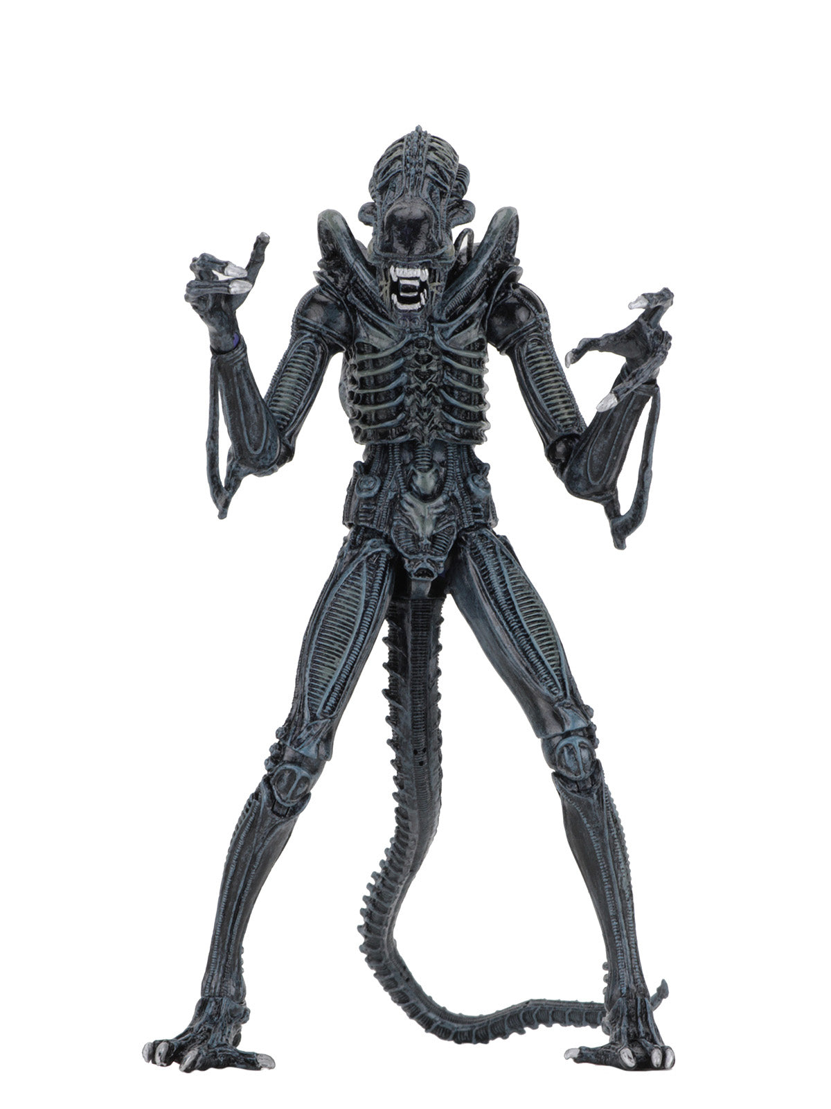 BUY NOW - ALIENS ULTIMATE ALIENS WARRIOR (1986) BLUE – 7″ SCALE ACTION FIGURE | NECAONLINE.COM.AU