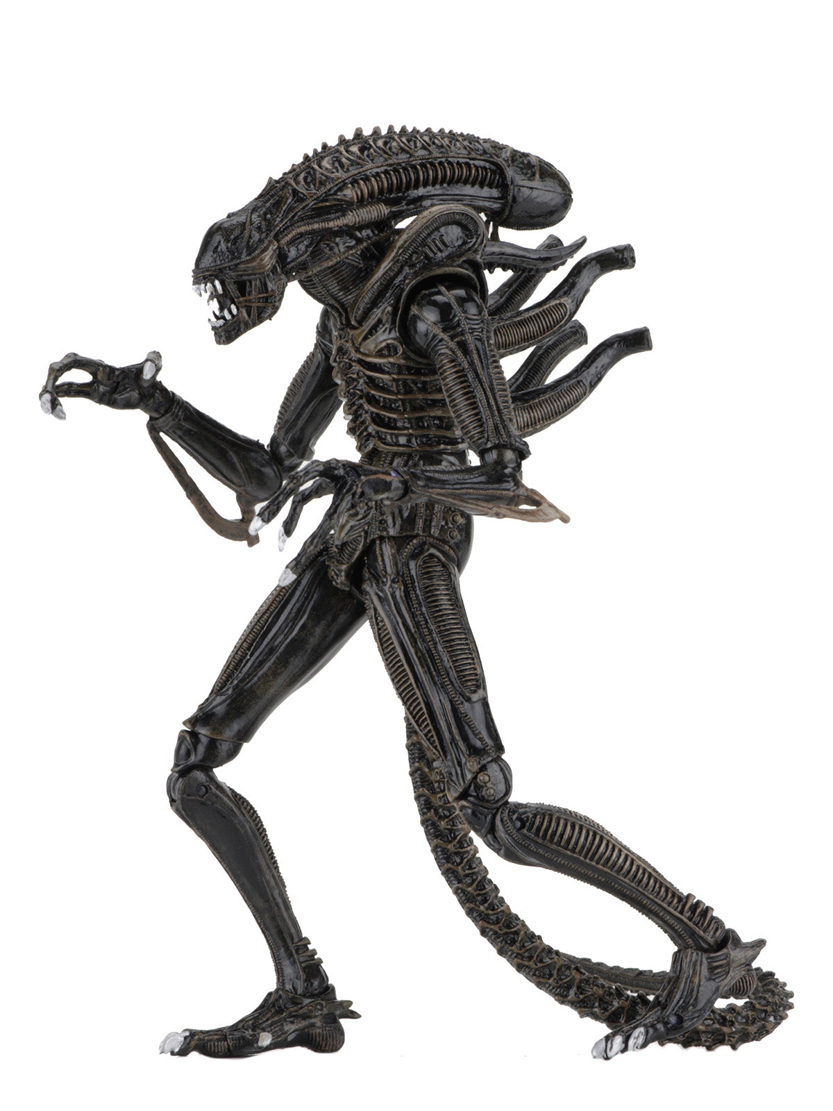 BUY NOW - ALIENS ULTIMATE ALIENS WARRIOR (1986) BROWN – 7″ SCALE ACTION FIGURE | NECAONLINE.COM.AU