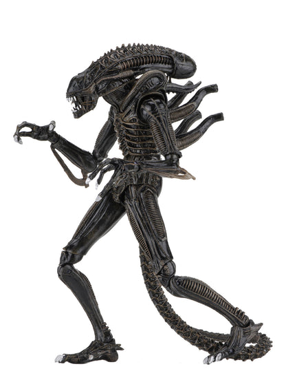 BUY NOW - ALIENS ULTIMATE ALIENS WARRIOR (1986) BROWN – 7″ SCALE ACTION FIGURE | NECAONLINE.COM.AU