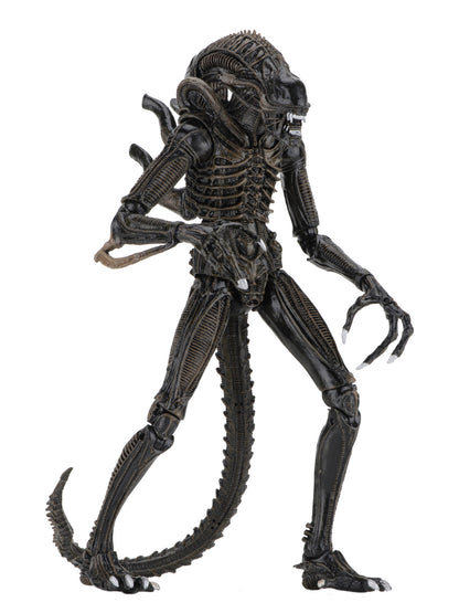 BUY NOW - ALIENS ULTIMATE ALIENS WARRIOR (1986) BROWN – 7″ SCALE ACTION FIGURE | NECAONLINE.COM.AU