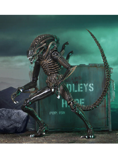BUY NOW - ALIENS ULTIMATE ALIENS WARRIOR (1986) BROWN – 7″ SCALE ACTION FIGURE | NECAONLINE.COM.AU