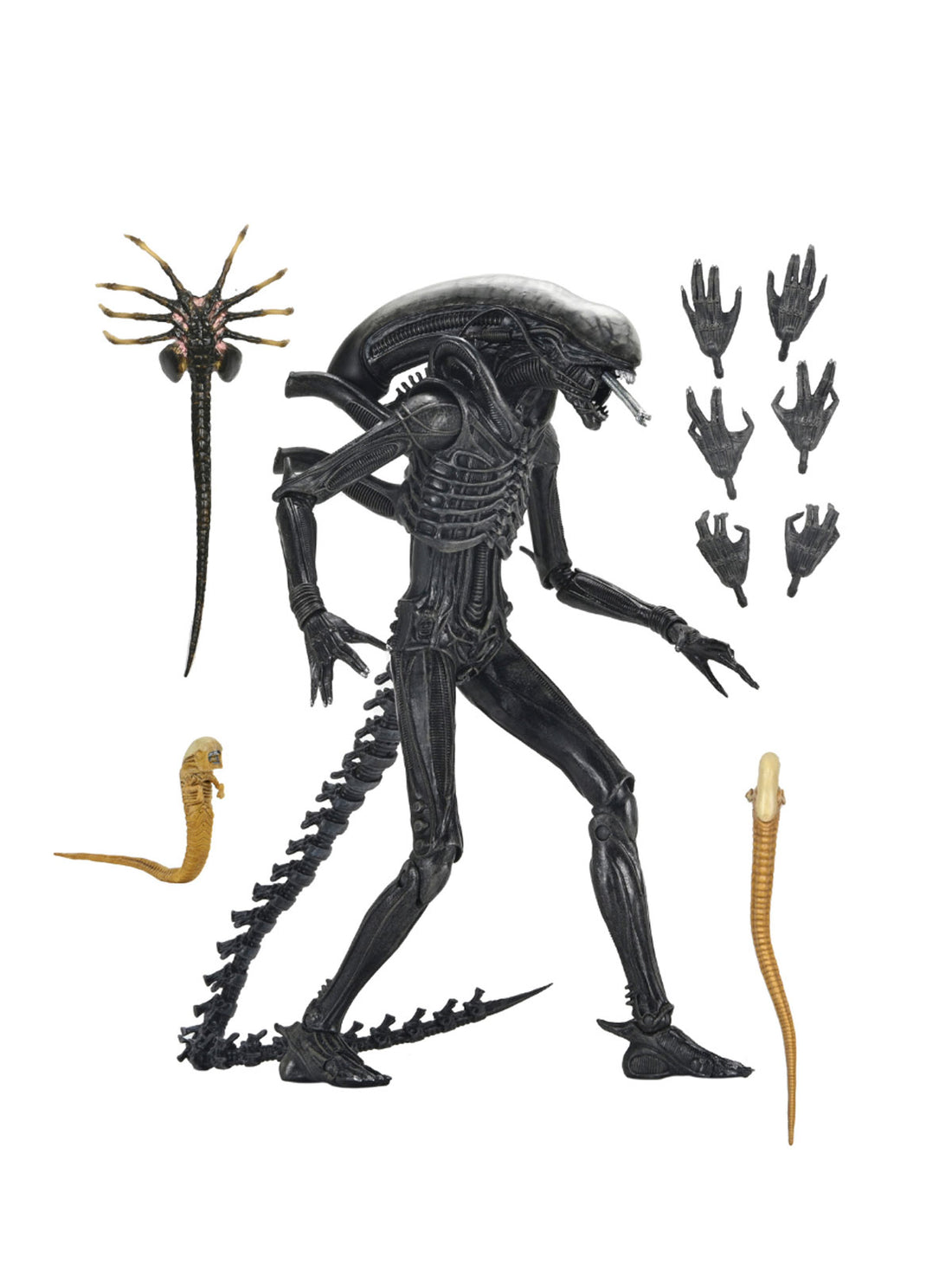 BUY NOW -- ALIEN ROMULUS – XENOMORPH XX121 ULTIMATE 7″ SCALE ACTION FIGURE | NECAONLINE.COM.AU