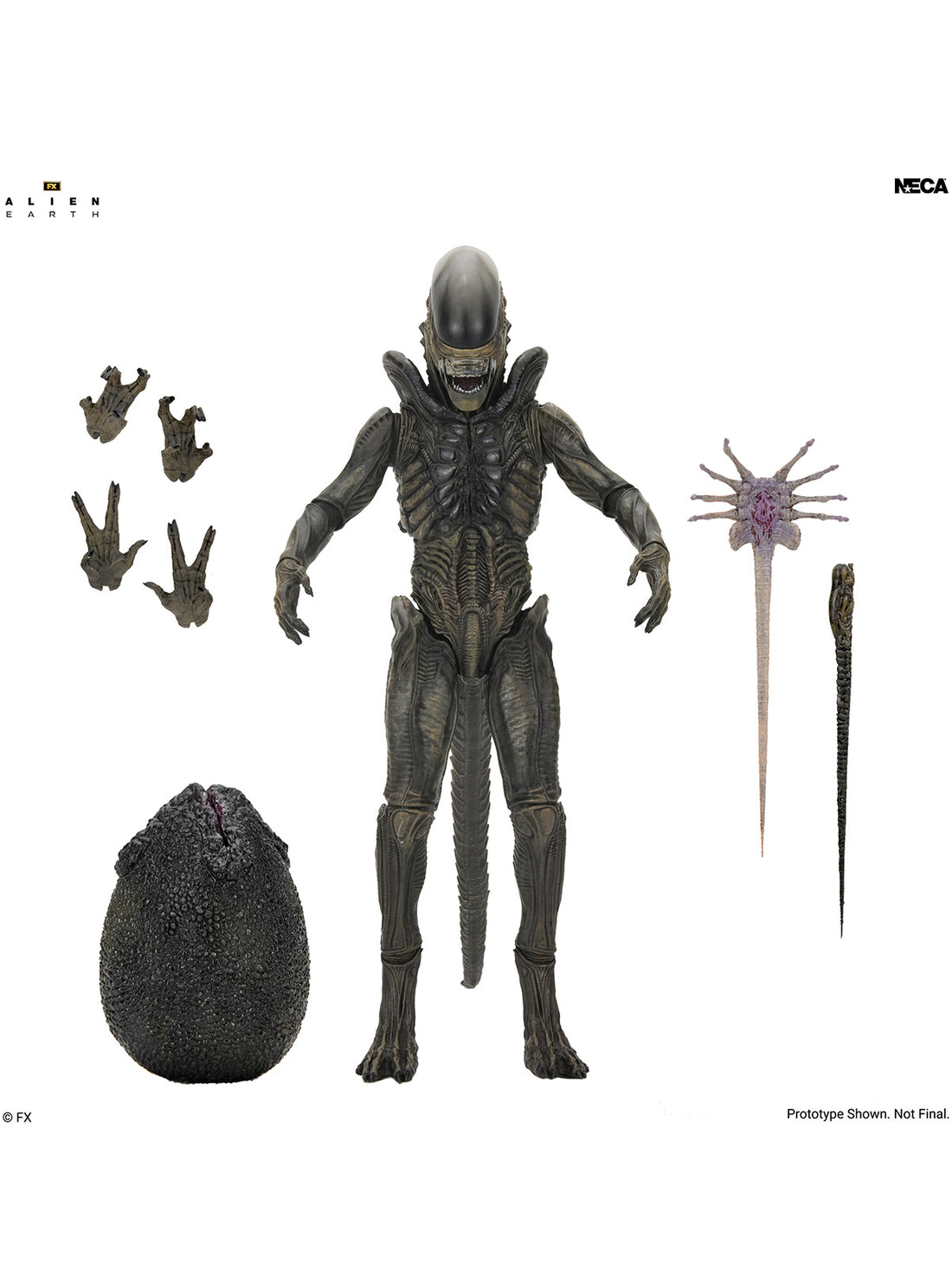 BUY NOW - ALIEN EARTH - ULTIMATE XENOMORPH 7" SCALE ACTION FIGURE | NECAONLINE.COM.AU