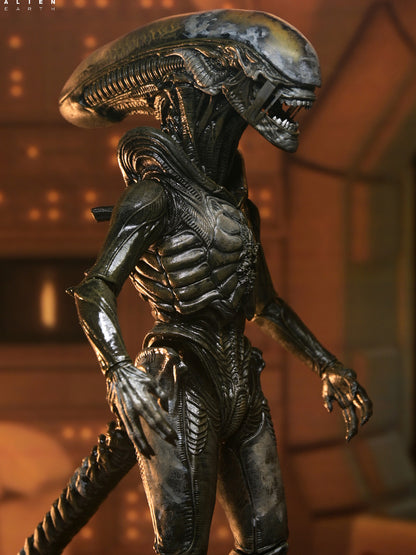 BUY NOW - ALIEN EARTH - ULTIMATE WENDY&