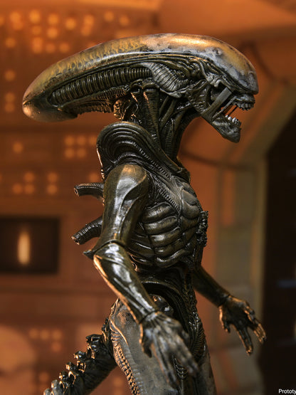 BUY NOW - ALIEN EARTH - ULTIMATE WENDY&