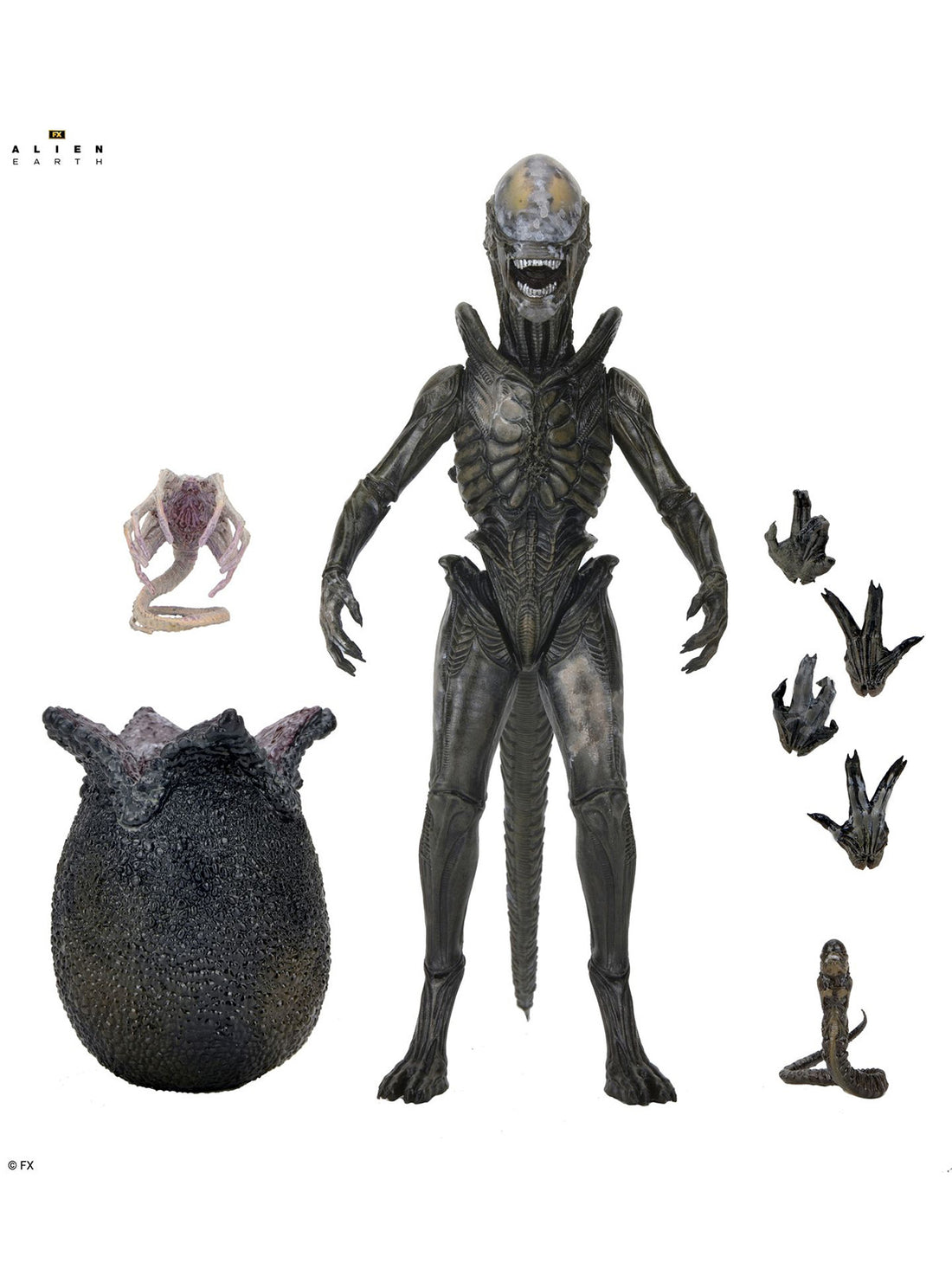 BUY NOW - ALIEN EARTH - ULTIMATE WENDY&