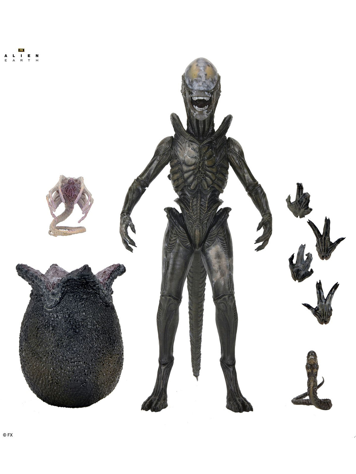 BUY NOW - ALIEN EARTH - ULTIMATE WENDY&