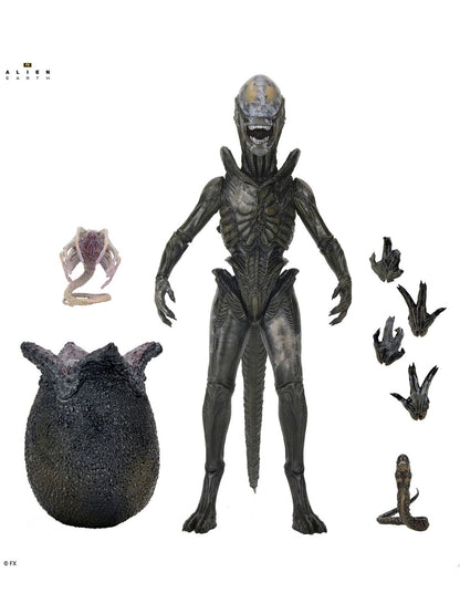 BUY NOW - ALIEN EARTH - ULTIMATE WENDY&