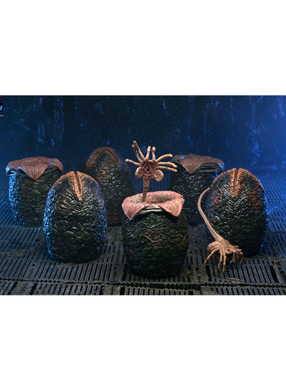 BUY NOW - ALIENS 40TH ANNIVERSARY CARTON OF 6 ALIEN EGGS – ACCESSORY PACK | NECAONLINE.COM.AU
