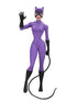 BUY NOW - DC COMICS (CLASSIC COMICS) TOONY CATWOMAN (PURPLE SUIT) - 6" SCALE ACTION FIGURE | NECAONLINE.COM.AU